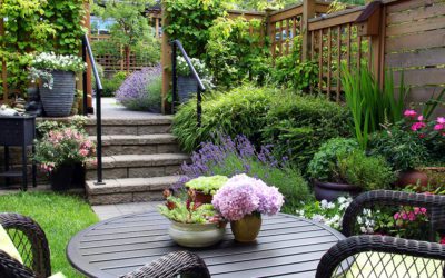 Nos conseils pour un jolie jardin en ville